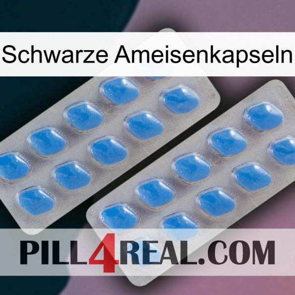 Black Ant Capsules 23.jpg
